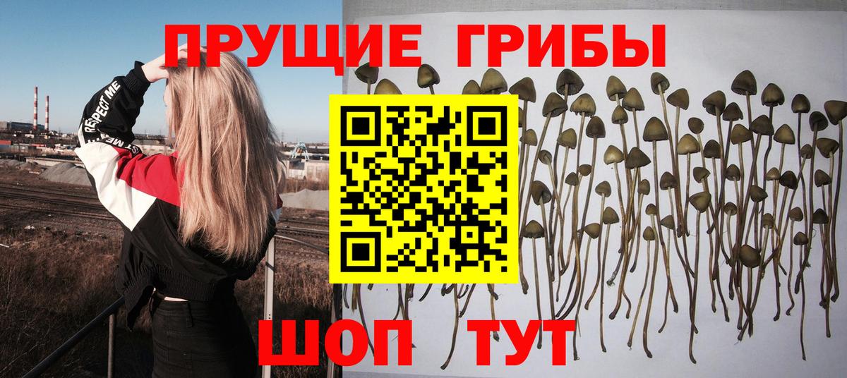 Псилоцибиновые грибы Magic Shrooms  Вход с VPN  Галлюциногенные грибы Psilocybine cubensis  Краснодар 