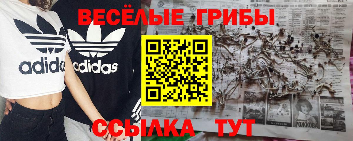 Галлюциногенные грибы прущие грибы Краснодар